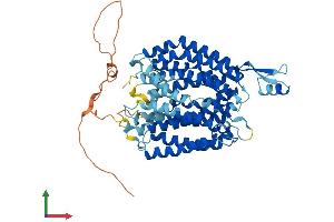 AlphaFold protein structure predicition of Human Recombinant SLC33A1 Protein, UniprotID O00400 (SLC33A1 Protein (AA 1-549) (His tag))