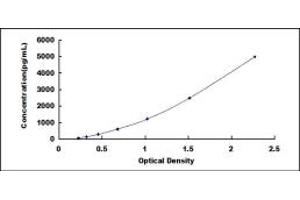 BCAR3 ELISA Kit