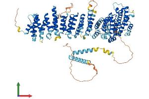Protein Structure (PS) image for EFR3 Homolog A (EFR3A) (AA 1-821) protein (His tag) (ABIN7553754)