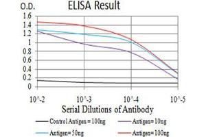 Black line: Control Antigen (100 ng);Purple line: Antigen (10ng); Blue line: Antigen (50 ng); Red line:Antigen (100 ng) (CPV-VP2 (AA 1-128) antibody)