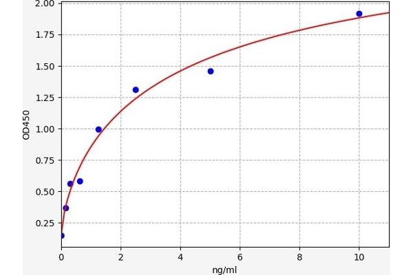 SMAD3 ELISA Kit