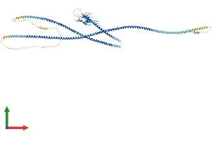 AlphaFold protein structure predicition of Mouse Recombinant Slmap Protein, UniprotID Q3URD3 (SLMAP Protein (AA 1-845) (His tag))