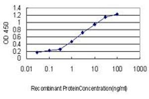 Detection limit for recombinant GST tagged RBBP6 is approximately 0. (RBBP6 antibody  (AA 1582-1691))