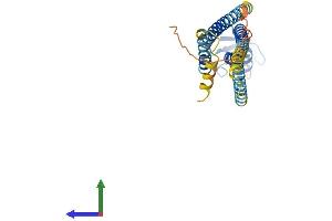 AlphaFold protein structure predicition of Mouse Recombinant Gja6 Protein, UniprotID Q6S5G4 (Gap Junction Protein, alpha 6 (GJA6) (AA 1-283) protein (His tag))