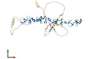 Protein Structure (PS) image for Transforming Growth Factor beta 1 Induced Transcript 1 (TGFB1I1) (AA 1-461) protein (His tag) (ABIN7555721)