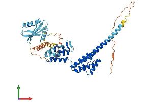 AlphaFold protein structure predicition of Human Recombinant PNMA6A Protein, UniprotID P0CW24