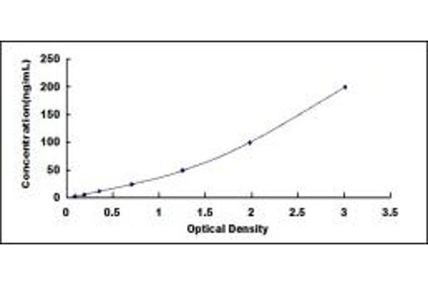 CS ELISA Kit