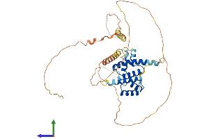 AlphaFold protein structure predicition of Mouse Recombinant Pou4f1 Protein, UniprotID P17208 (POU4F1 Protein (AA 1-421) (His tag))