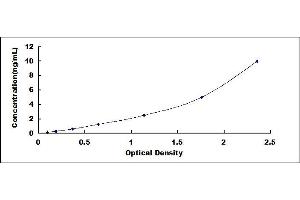 Typical standard curve (Elastase 3B ELISA Kit)