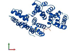 AlphaFold protein structure predicition of Human Recombinant ANXA8L1 Protein, UniprotID Q5VT79
