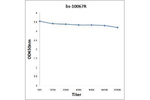 Antigen: 2 µg/100 µL Primary: Antiserum, 1:500, 1:1000, 1:2000, 1:4000, 1:8000, 1:16000, 1:32000; Secondary: HRP conjugated Rabbit Anti-Goat IgG at 1: 5000; TMB staining Read the data in Microplate Reader by 450nm. (Surfactant Protein C antibody  (AA 24-58))