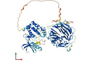 AlphaFold protein structure predicition of Mouse Recombinant Nek8 Protein, UniprotID Q91ZR4 (NEK8 Protein (AA 1-698) (His tag))