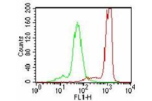 Image no. 2 for anti-Interleukin 17A (IL17A) (AA 1-75) antibody (ABIN1490779) (Interleukin 17a antibody  (AA 1-75))