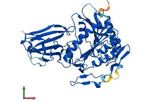 AlphaFold protein structure predicition of Human Recombinant BAAT Protein, UniprotID Q14032 (BAAT Protein (AA 1-418) (His tag))