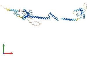 AlphaFold protein structure predicition of Human Recombinant RNF32 Protein, UniprotID Q9H0A6 (RNF32 Protein (AA 1-362) (His tag))