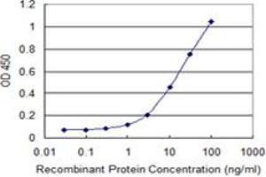 Detection limit for recombinant GST tagged ZBP1 is 0. (ZBP1 antibody  (AA 2-100))