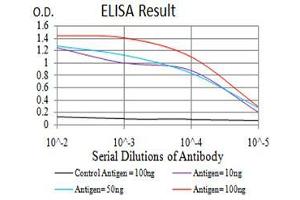 Black line: Control Antigen (100 ng),Purple line: Antigen (10 ng), Blue line: Antigen (50 ng), Red line:Antigen (100 ng) (TBCC antibody  (AA 1-196))