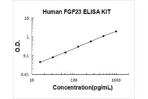 Human FGF23 PicoKine ELISA Kit standard curve