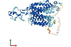 AlphaFold protein structure predicition of Human Recombinant SLC22A4 Protein, UniprotID Q9H015