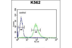 Flow cytometric analysis of K562 cells (right histogram) compared to a negative control cell (left histogram). (ARHGAP17 antibody  (N-Term))