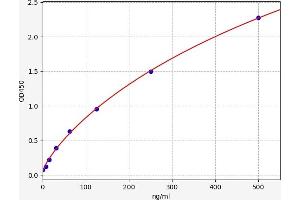 Typical standard curve (CEP126 ELISA Kit)