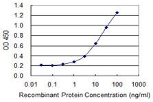 ZNF598 antibody  (AA 28-126)