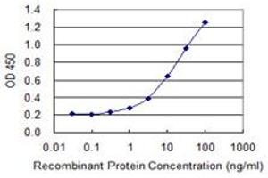 Detection limit for recombinant GST tagged ZNF598 is 0. (ZNF598 antibody  (AA 28-126))