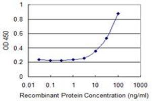 Detection limit for recombinant GST tagged NXF3 is 1 ng/ml as a capture antibody. (NXF3 antibody  (AA 1-100))