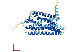 AlphaFold protein structure predicition of Human Recombinant OR10D3 Protein, UniprotID Q8NH80 (OR10D3 Protein (AA 1-312) (His tag))