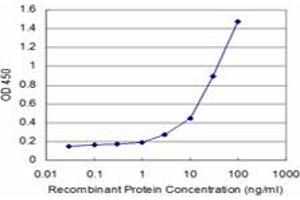 Detection limit for recombinant GST tagged TSSK1 is approximately 1ng/ml as a capture antibody. (TSSK1B antibody  (AA 267-367))