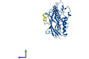 AlphaFold protein structure predicition of Mouse Recombinant Atp1b1 Protein, UniprotID P14094 (ATP1B1 Protein (AA 1-304) (His tag))