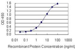 Detection limit for recombinant GST tagged PPP1R14B is 0. (PPP1R14B antibody  (AA 64-139))