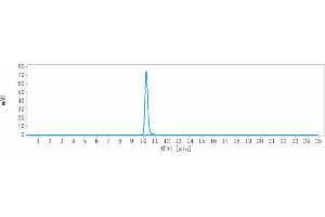 The purity of Anti-DLL3 Reference Antibody (rovalpituzumab) is 98. (Recombinant DLL3 (Rovalpituzumab Biosimilar) antibody)