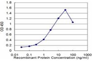 Detection limit for recombinant GST tagged ZBTB16 is approximately 0. (ZBTB16 antibody  (AA 381-480))