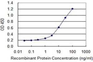 Detection limit for recombinant GST tagged HDDC3 is 0. (HDDC3 antibody  (AA 1-140))