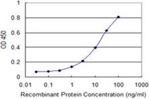 Detection limit for recombinant GST tagged RING1 is 0. (RING1 antibody  (AA 81-170))