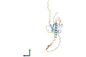 AlphaFold protein structure predicition of Human Recombinant DPRX Protein, UniprotID A6NFQ7 (DPRX Protein (AA 1-191) (His tag))