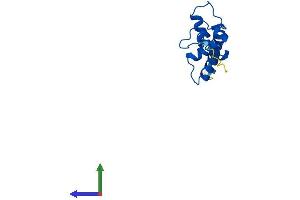 AlphaFold protein structure predicition of Mouse Recombinant H2aj Protein, UniprotID Q8R1M2 (H2AFJ Protein (AA 1-129) (His tag))