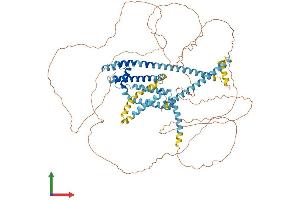 Protein Structure (PS) image for Cation Channel, Sperm Associated 1 (CATSPER1) (AA 1-780) protein (His tag) (ABIN7553586)