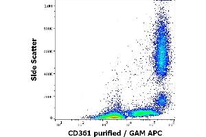 EVI2B antibody