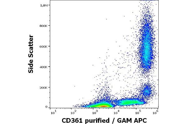 EVI2B antibody