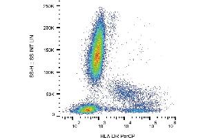 Flow cytometry analysis (surface staining) of human peripheral blood cells with anti-human HLA-DR (MEM-12) PerCP. (HLA-DR antibody  (PerCP))
