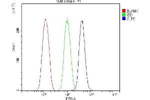 Flow Cytometry analysis of HEPA1-6 cells using anti-Clathrin heavy chain/CLTC antibody (ABIN7602704). (Clathrin Heavy Chain (CLTC) (AA 967-1668) antibody)