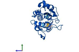 Protein Structure (PS) image for 5',3'-Nucleotidase, Cytosolic (NT5C) (AA 1-201) protein (His tag) (ABIN7549851)