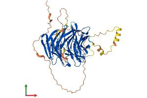 Protein Structure (PS) image for WD Repeat Domain, Phosphoinositide Interacting 2 (WIPI2) (AA 1-454) protein (His tag) (ABIN7556031)