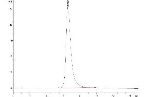The purity of Cynomolgus CDCP1 is greater than 95 % as determined by SEC-HPLC. (CDCP1 Protein (His tag))