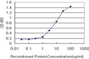Detection limit for recombinant GST tagged FHL1 is approximately 0. (FHL1 antibody  (AA 23-120))