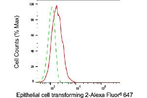 Flow cytometric analysis of Epithelial cell transforming 2 expression in HT- cells using Epithelial cell transforming 2 antibody (ABIN7798482), 1:1,000). (ECT2 antibody)