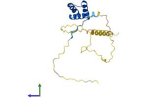 AlphaFold protein structure predicition of Human Recombinant RAX2 Protein, UniprotID Q96IS3