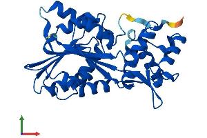 AlphaFold protein structure predicition of Mouse Recombinant Hnmt Protein, UniprotID Q91VF2 (HNMT Protein (AA 1-295) (His tag))